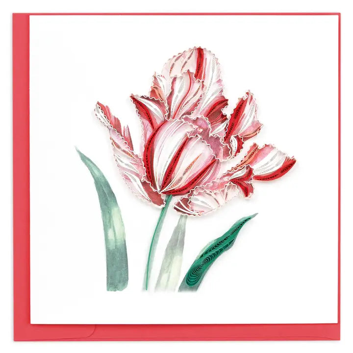 Quilling Card Red & White Tulip Bloom