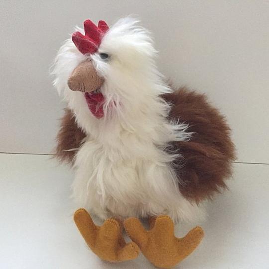 a alpaca fur rooster on a white background