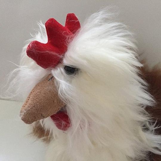 A rooster alpaca head on a white background
