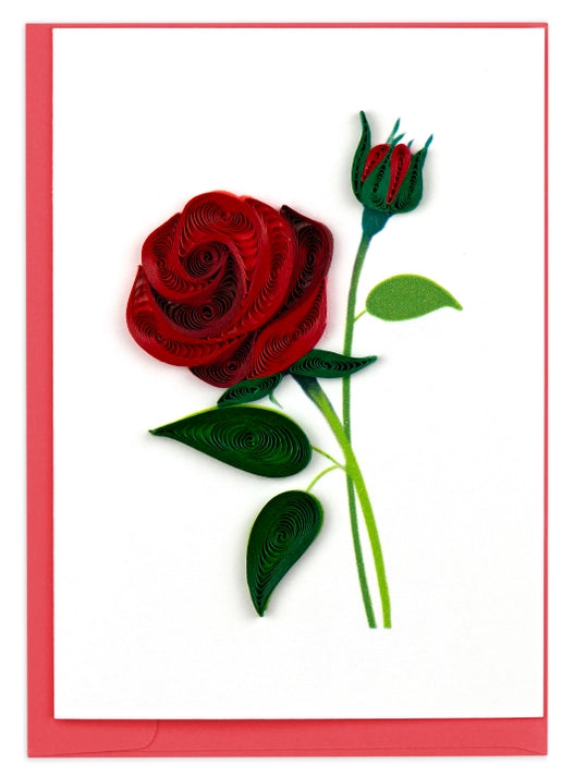 Red rose with a green bud on a white background