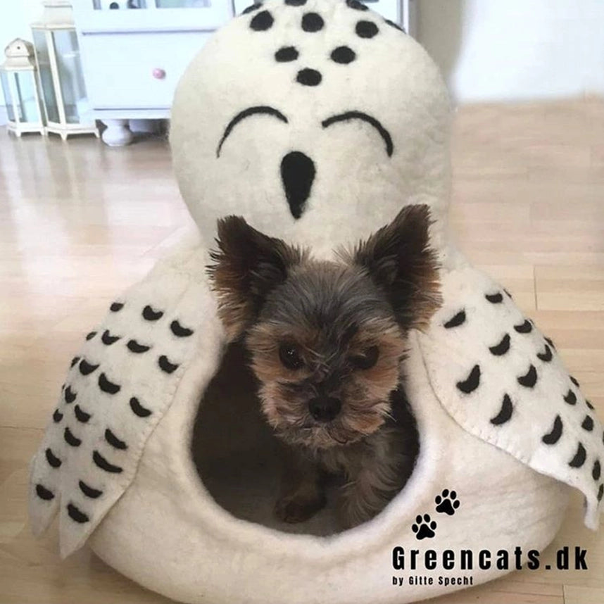 Small dog in a white owl-shaped pet bed with black accents, on a light wooden floor.