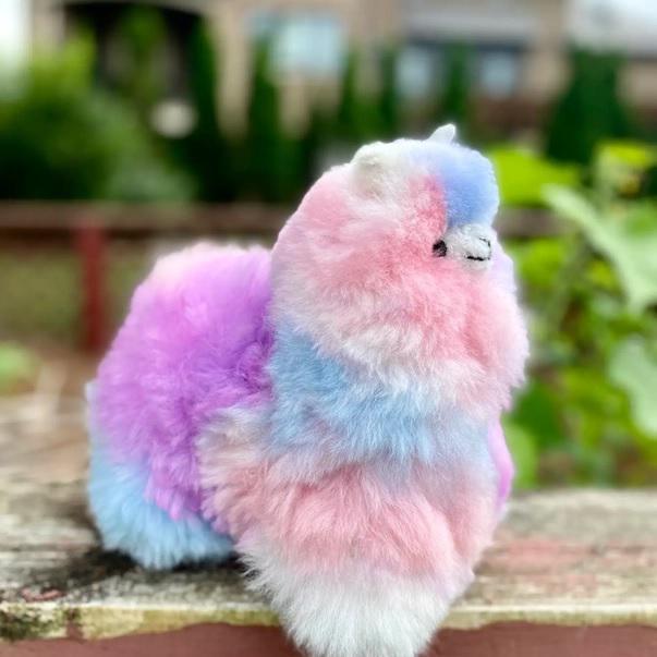 a soft pastel llamacorn on a white background