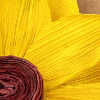 Close-up of a yellow flower with a brown background