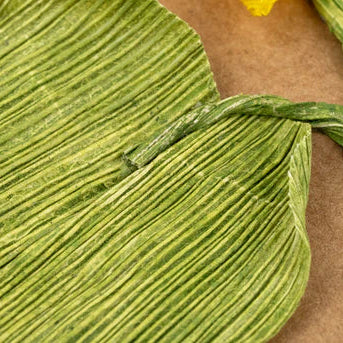 Close-up of a green leaf on a brown background