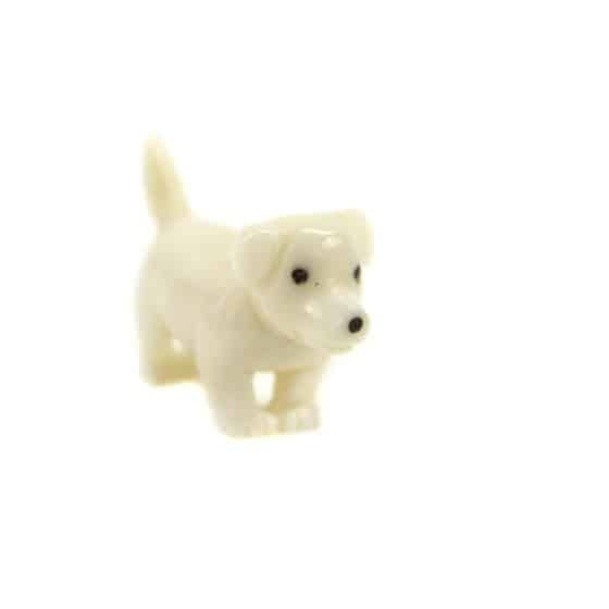 a tagua nut dog terrier on a white background