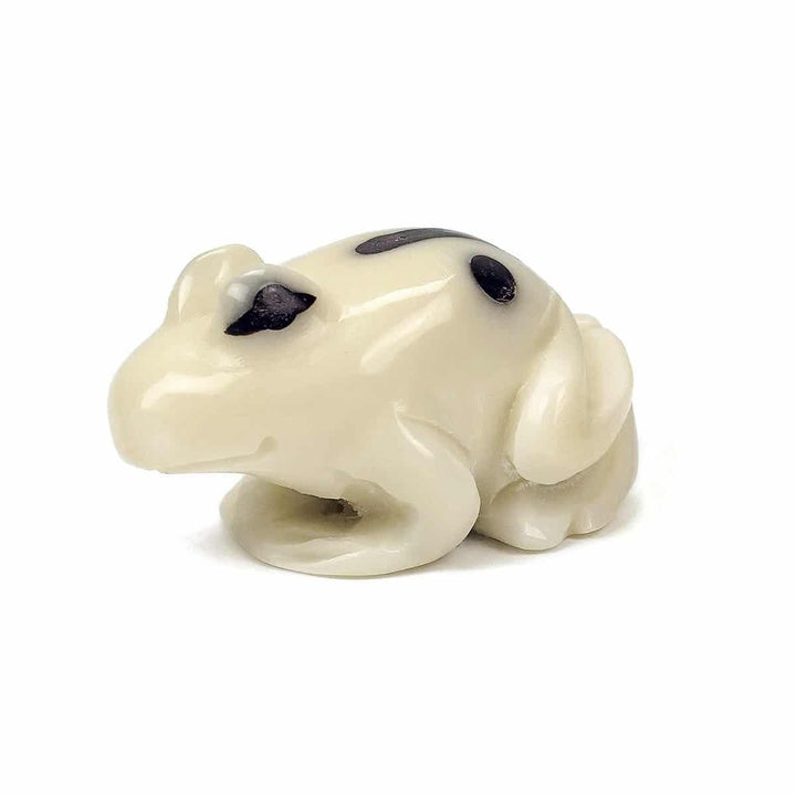 a tagua nut frog on a white background