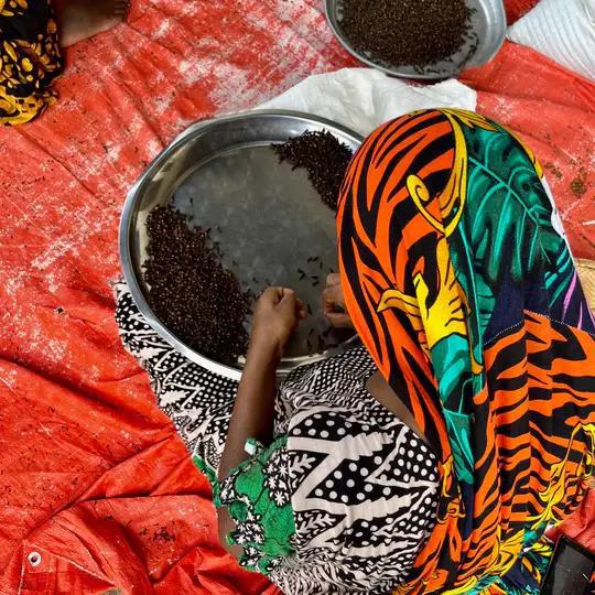 Person sorting tandoori in a large metal tray with a colorful headscarf.