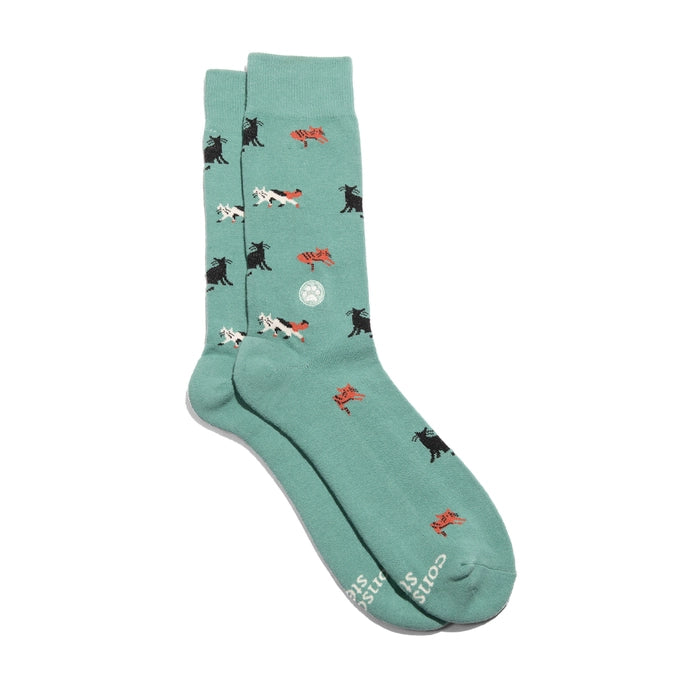 teal crew socks with cats
