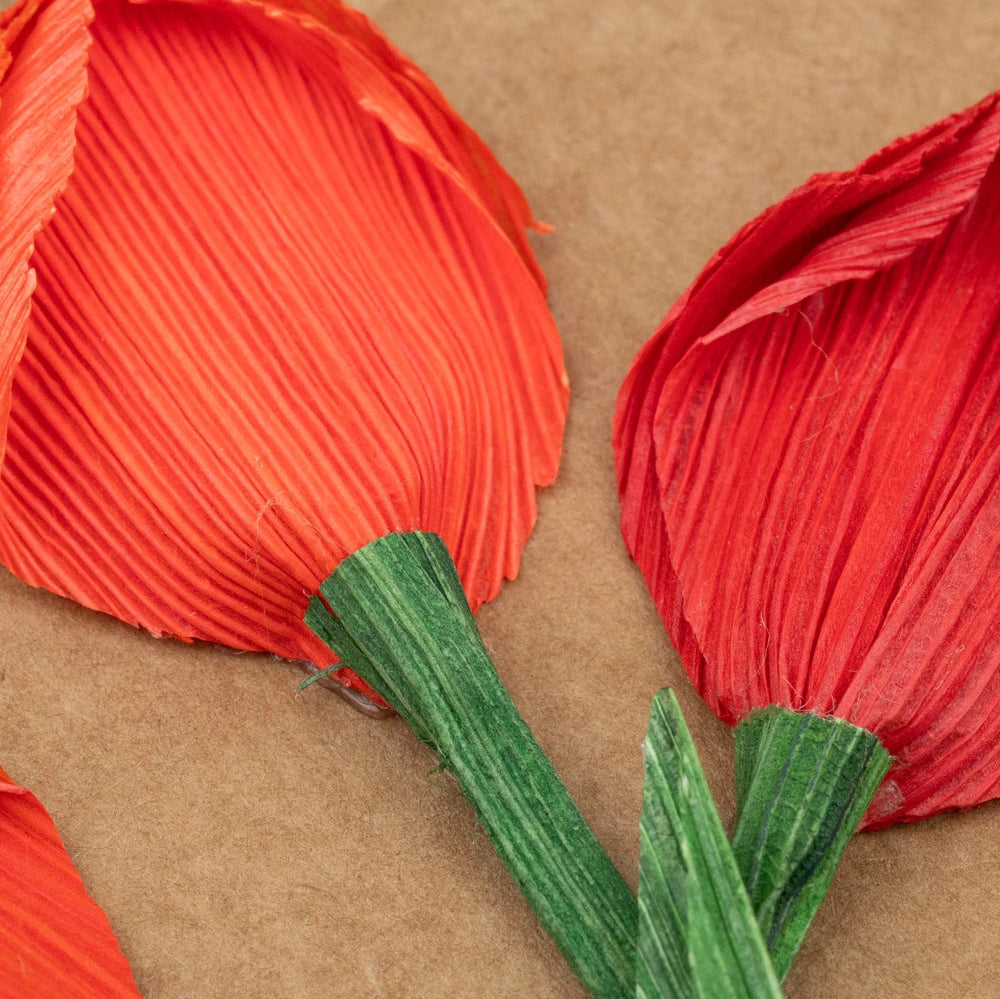 Red cornhusk tulips on a brown background