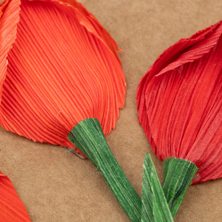 Red cornhusk tulips on a brown background