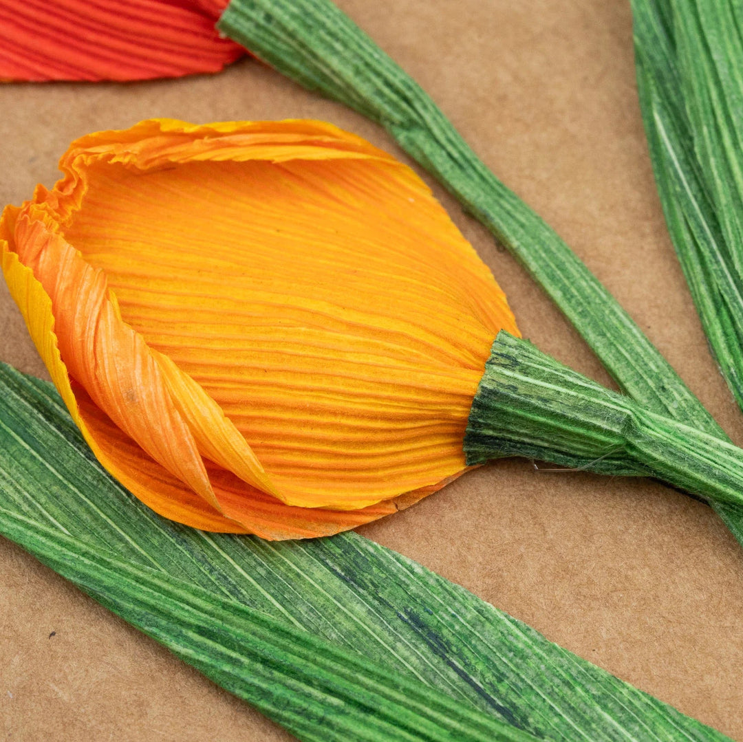 Orange cornhusk tulip with green stems on a brown background