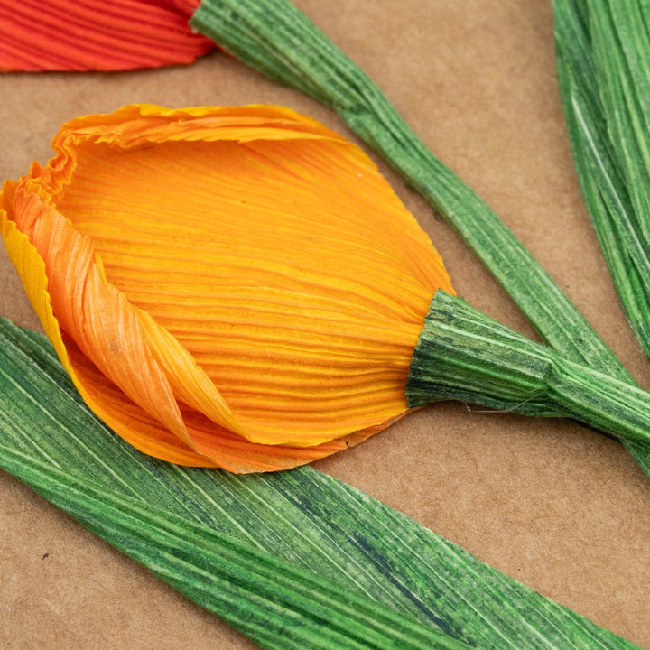 Orange cornhusk tulip with green stems on a brown background
