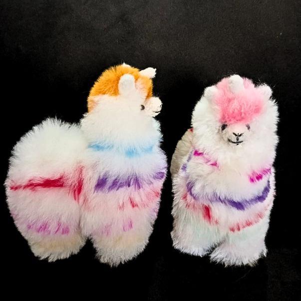 Two vibrant flare llamacorn on a black background. 
