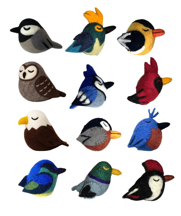 Collection of colorful bird-shaped cat toys on a white background