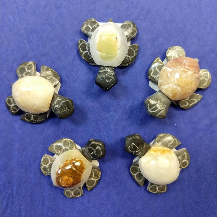 Marble & Onyx Turtle