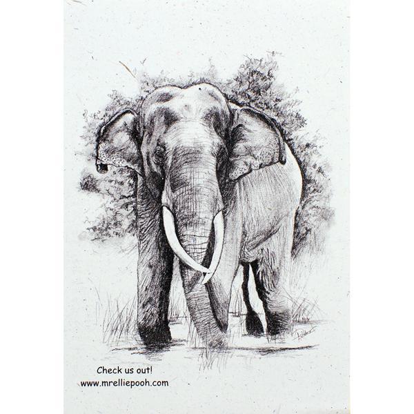 a sheet of paper with a sketched elephant