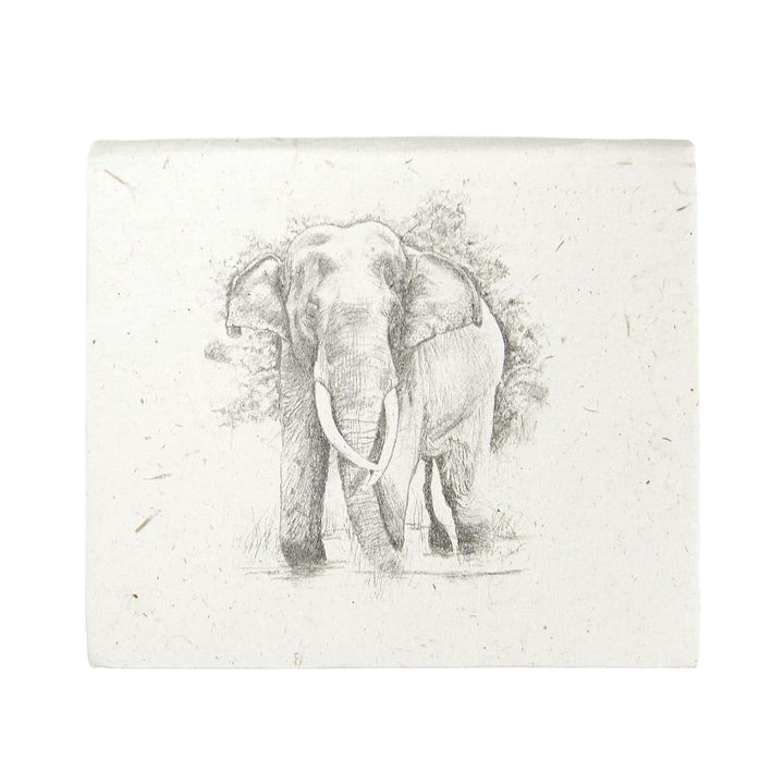 Several square note boxes with sketched elephant
