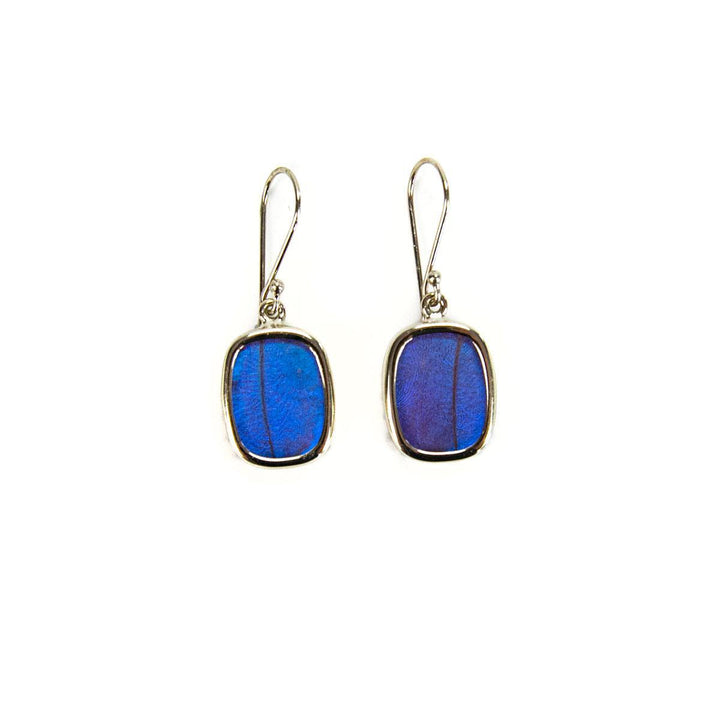 A pair of earrings featuring circular pendants with butterfly wing patterns enclosed within a gold-colored frame, attached to hook closures.