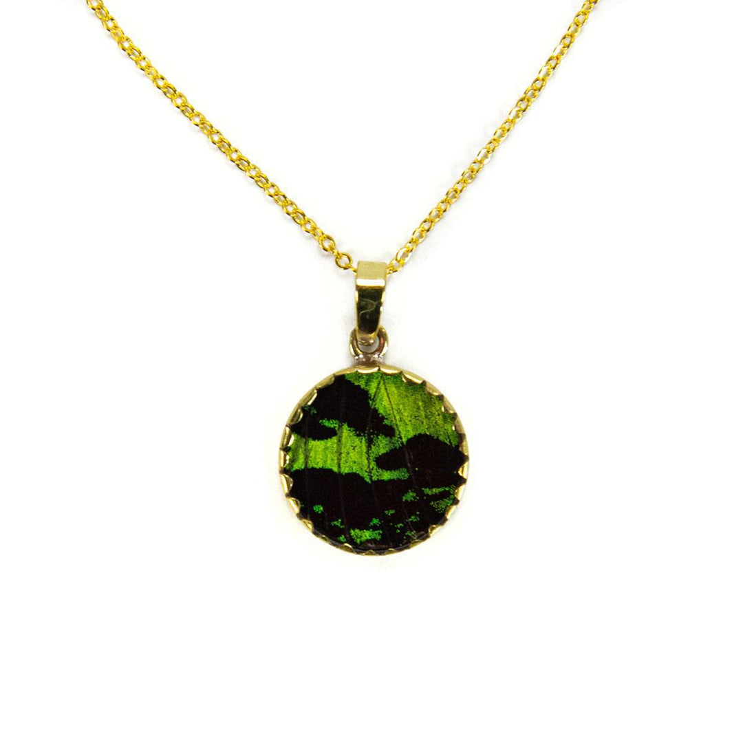 A gold-colored necklace with a circular pendant featuring green butterfly wings.