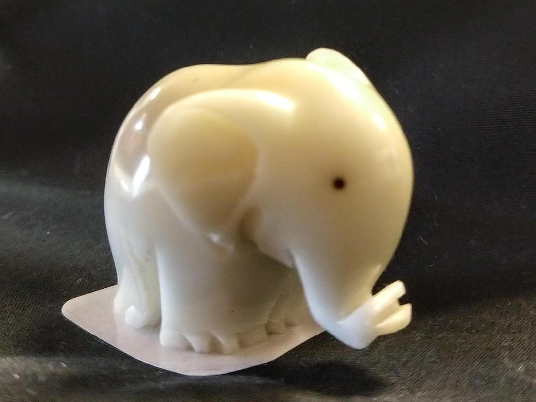 Tagua Nut Animal
