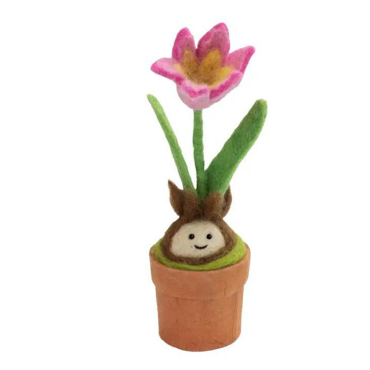 Tulip Potted Plant