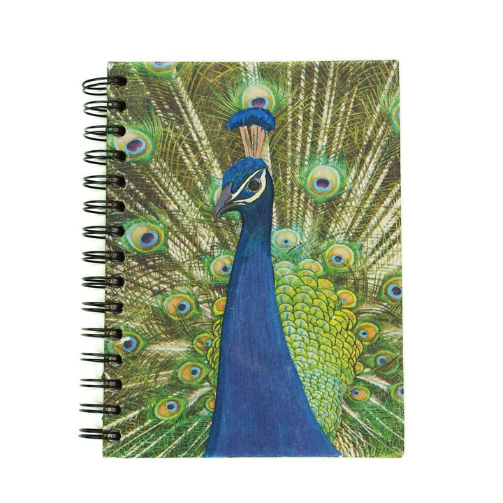 Peacock Mr. Ellie Pooh Notebook on a white background
