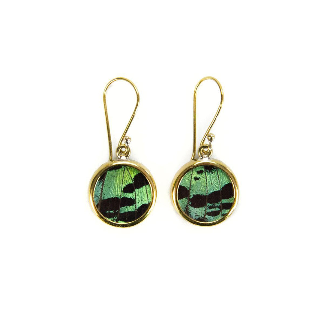 A pair of earrings featuring circular pendants with butterfly wing patterns enclosed within a gold-colored frame, attached to hook closures.