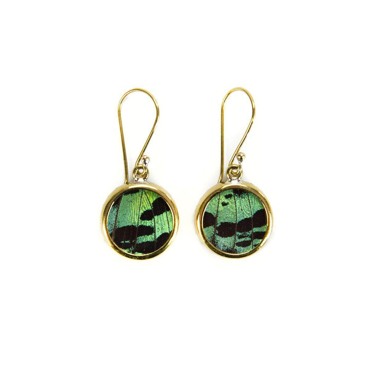 A pair of earrings featuring circular pendants with butterfly wing patterns enclosed within a gold-colored frame, attached to hook closures.