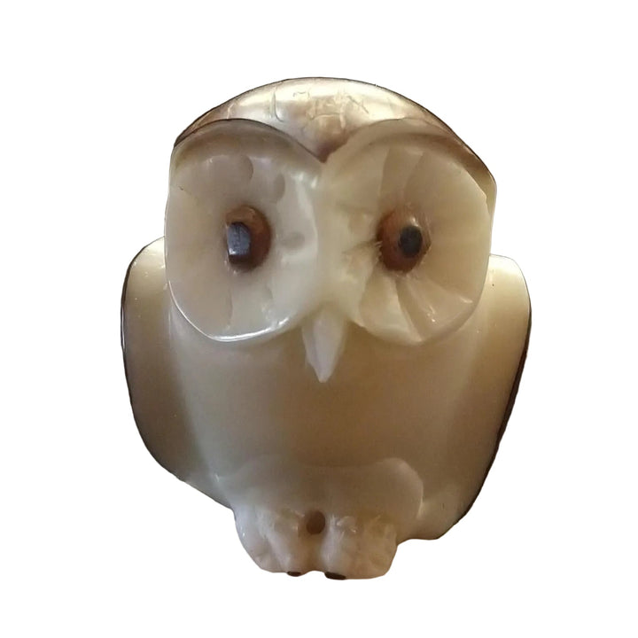 a tagua nut owl