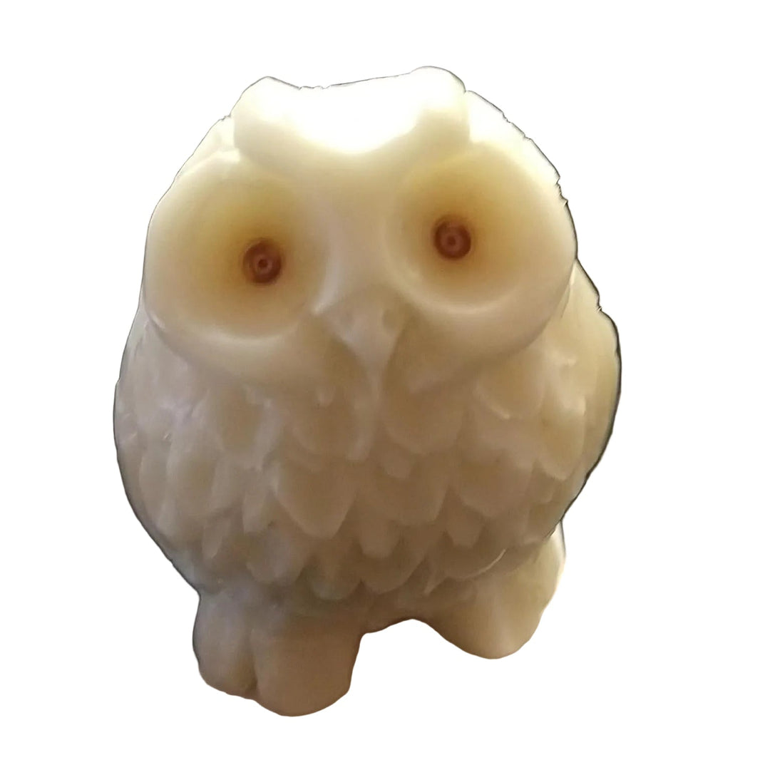 tagua nut owl on a white background