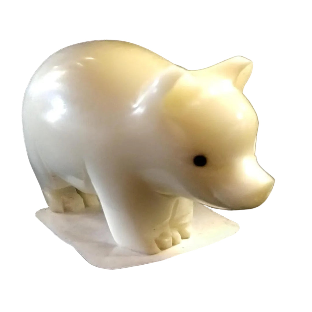 a tagua nut pig