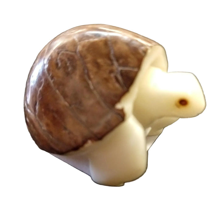 a tagua nut tortoise 